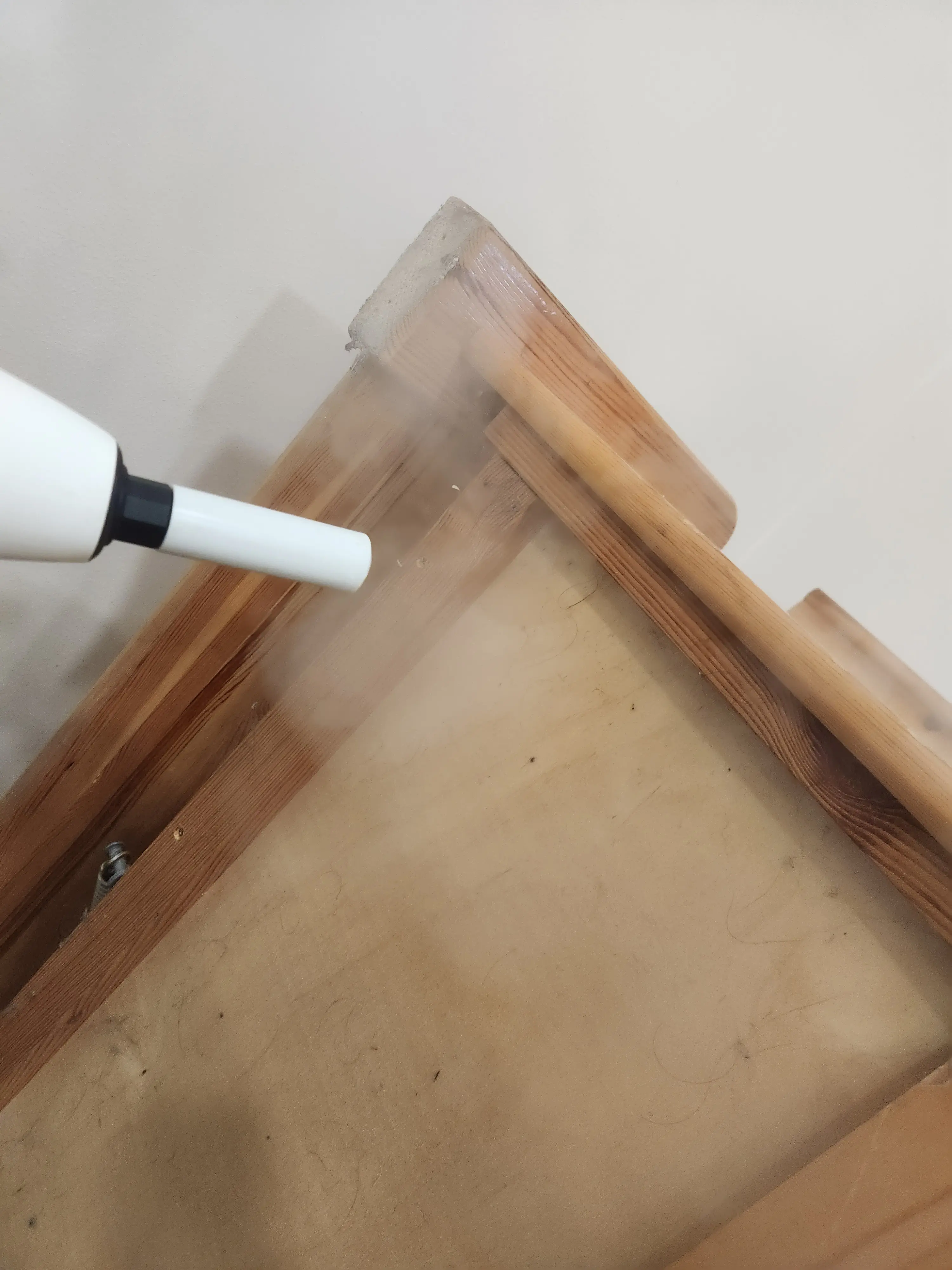 Ágyi poloska irtás után – ellenőrzés